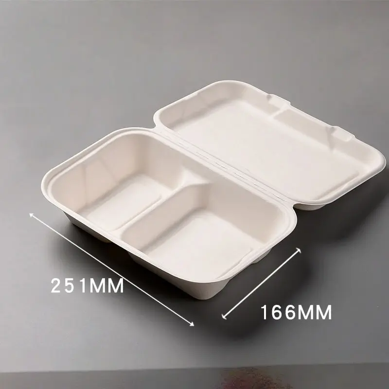 Disposable Biodegradable Sugarcane Bagasse Takeaway Box