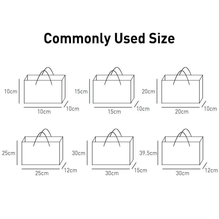 Custom Packaging Bag Presentation 1