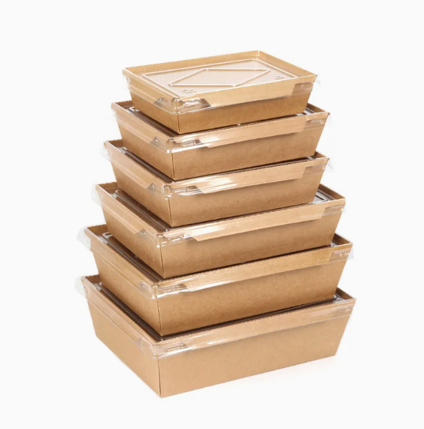 Custom Disposable Food Packaging Boxes | Eco - Friendly Takeout Containers