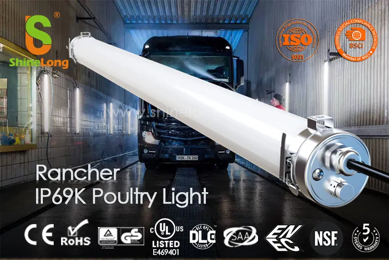 IP69K Tri-Proof LED Light Solution