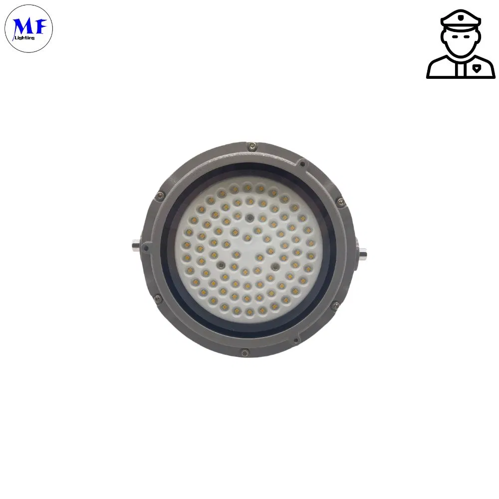 ATEX Approval Ceiling Mounted 60W 80W 100W IP66 Ik10 Explosion Proof High Bay Light LED Explosion Proof Bulb Light for Oil and Gas Chemical Industry
