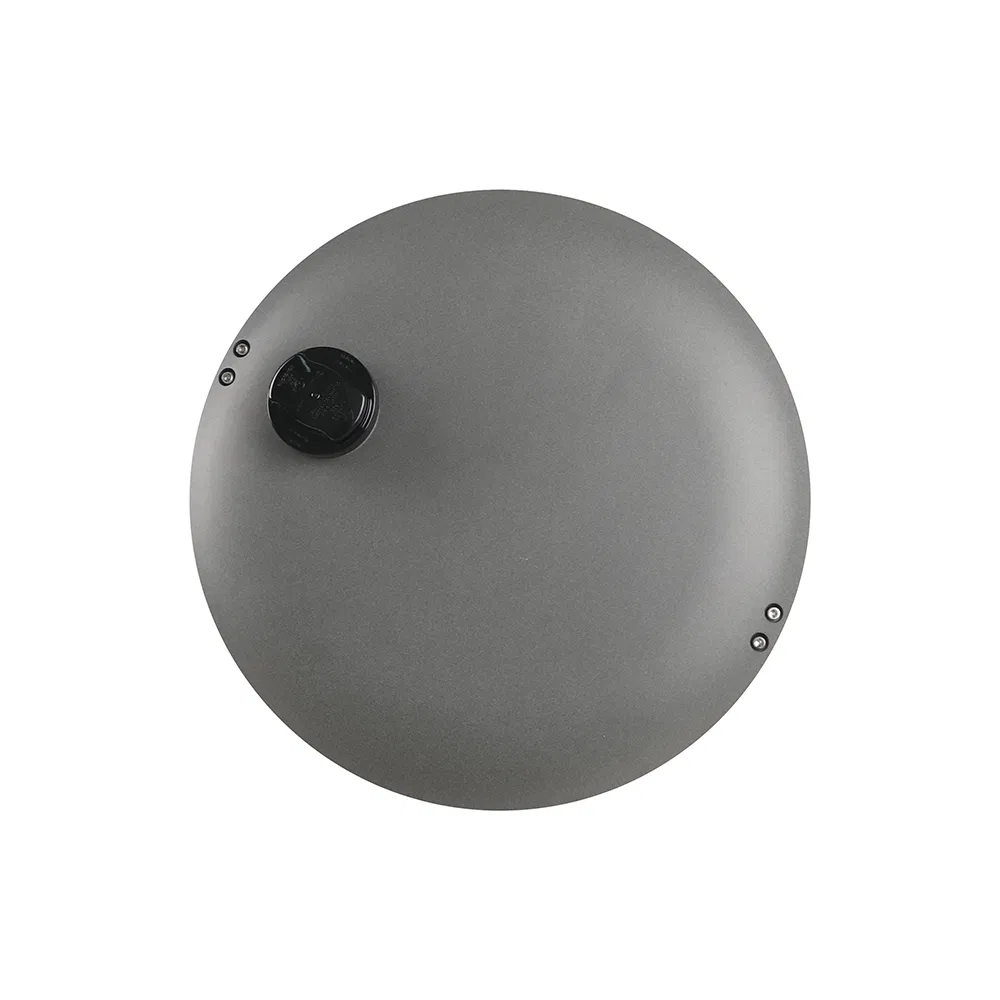 30W 50W 60W 100W 150W High Quality IP66 Ik09 LED Urban Light LED Post Top Park Light