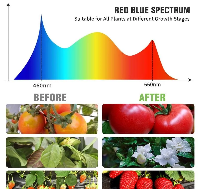 USB Powered Plant Light Details