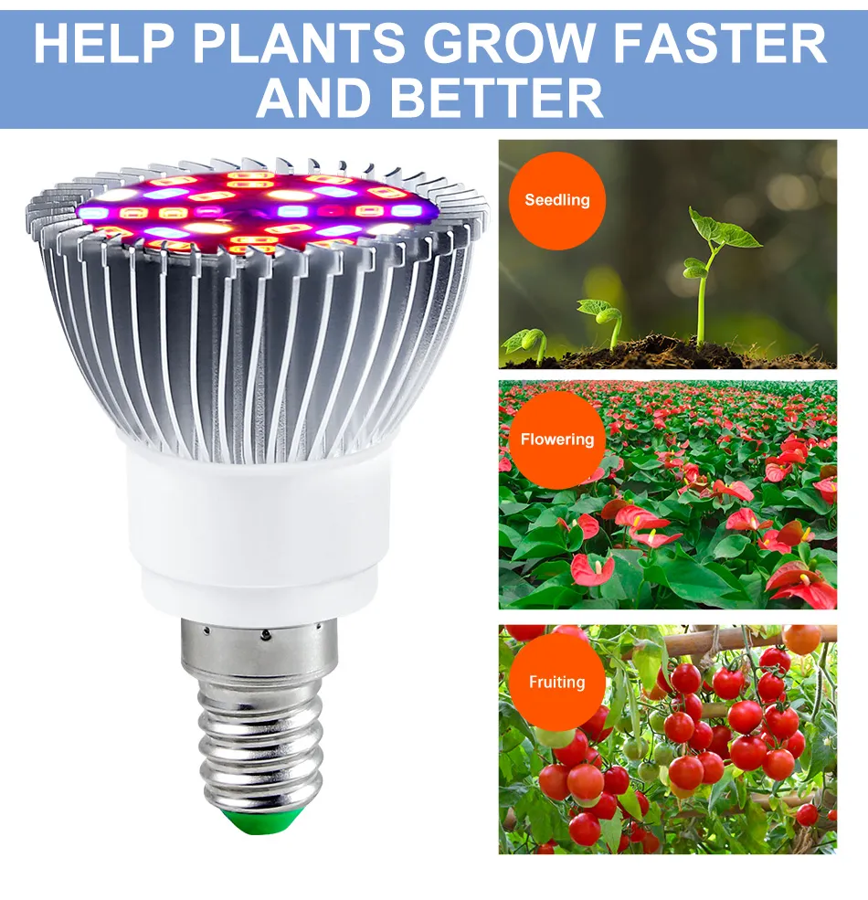 LED Plant Grow Light 4