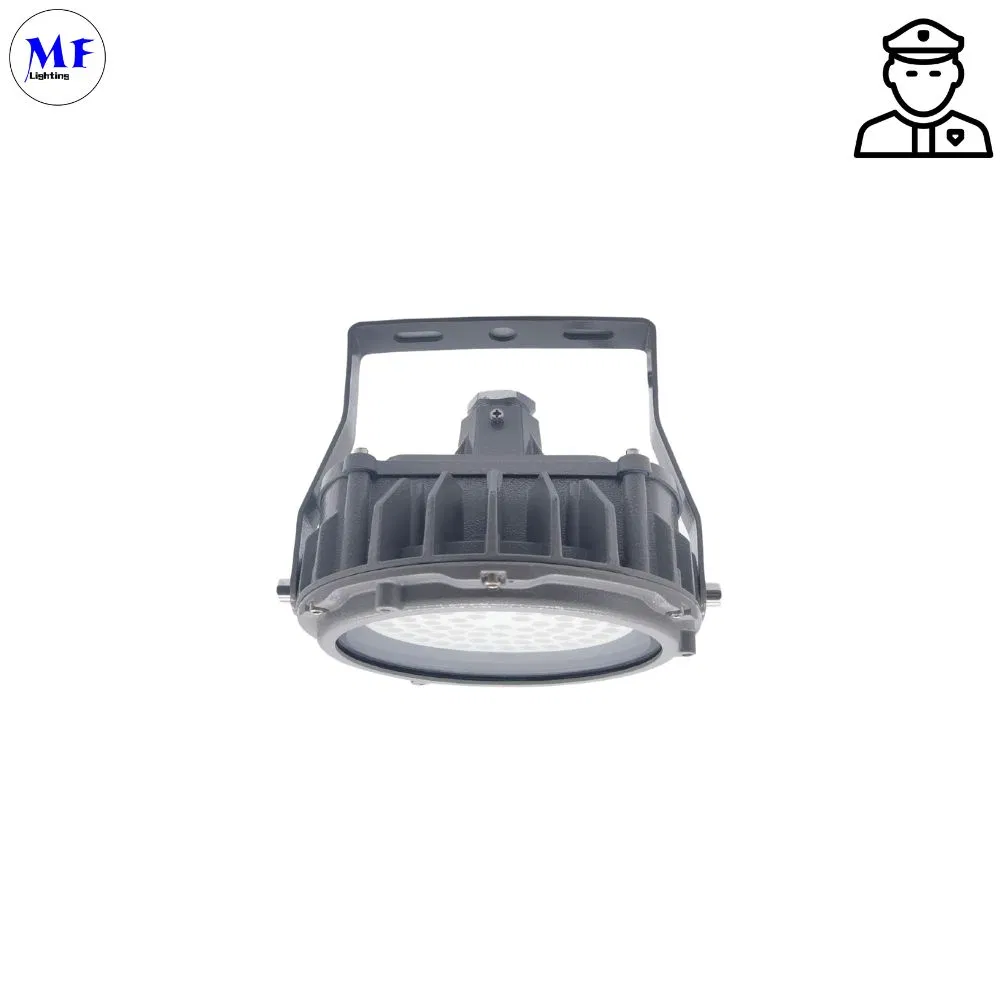 ATEX Approval Ceiling Mounted 60W 80W 100W IP66 Ik10 Explosion Proof High Bay Light LED Explosion Proof Bulb Light for Oil and Gas Chemical Industry