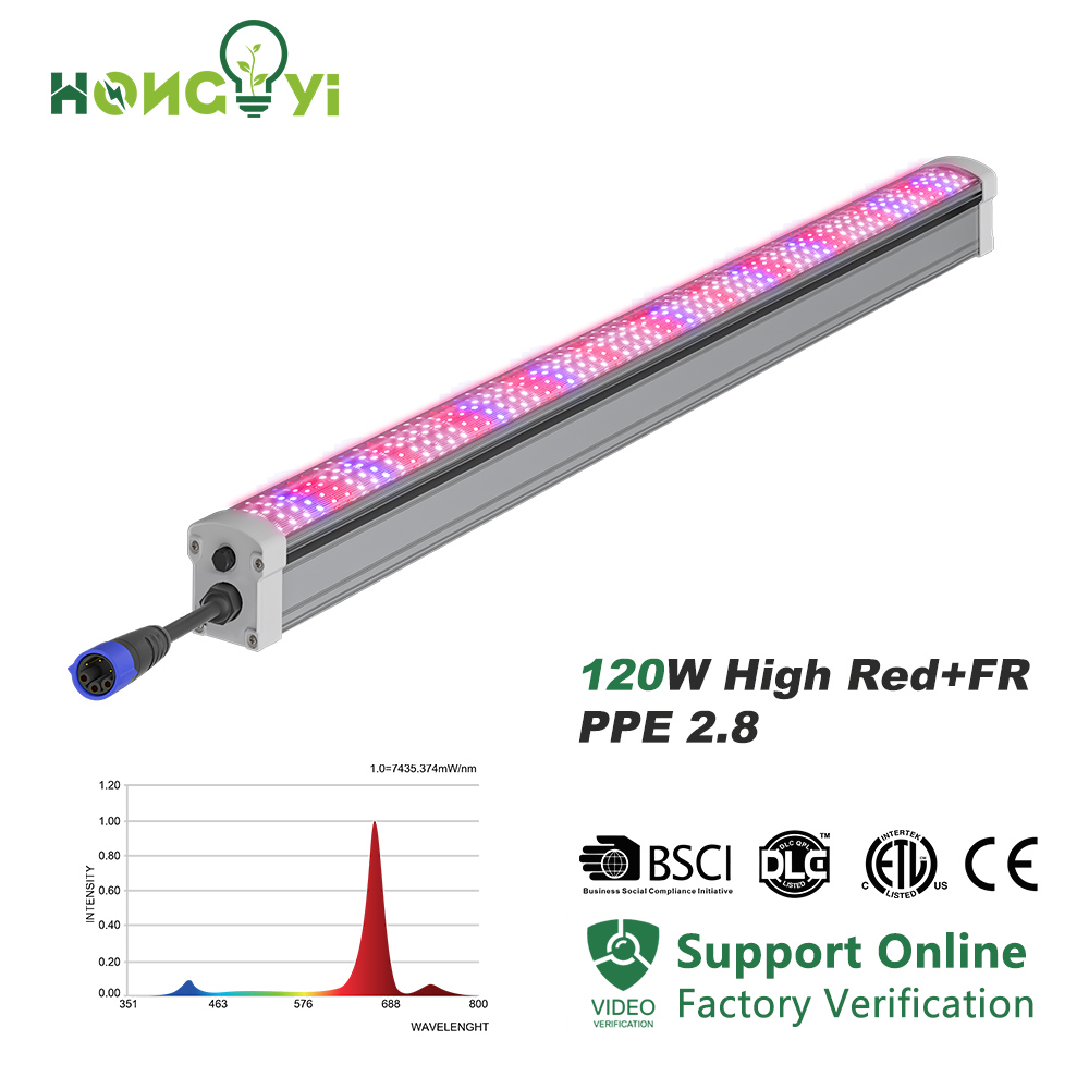 2025 Newest 120W IP66 LED Grow Light Under Canopy With Far Red High PPE 30% Boost Harvest LED Lm301h Chip For 4FT Plant Growing