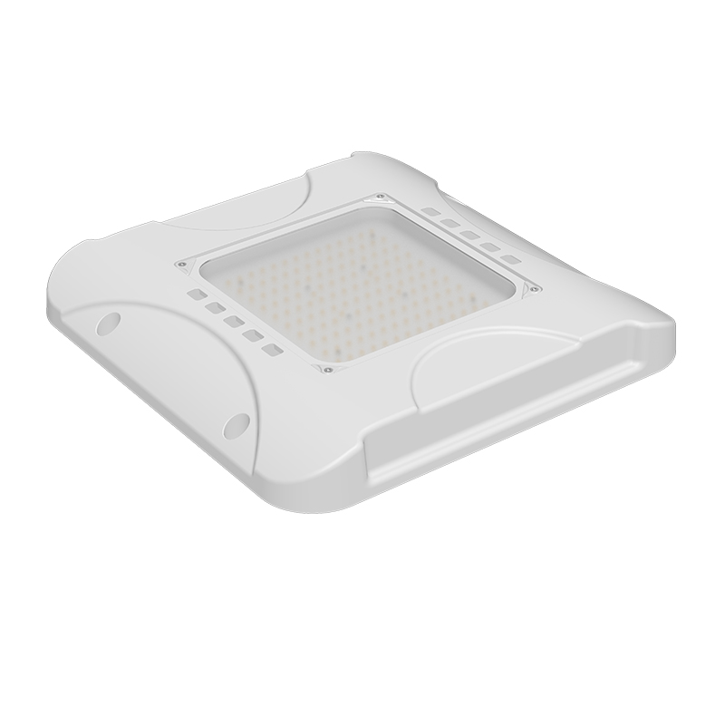 LED Canopy Light 5