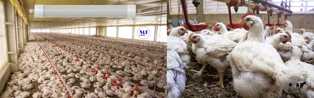 Farm Application