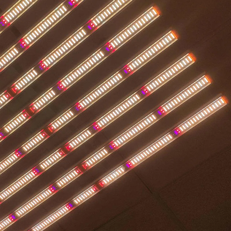 Detail 5