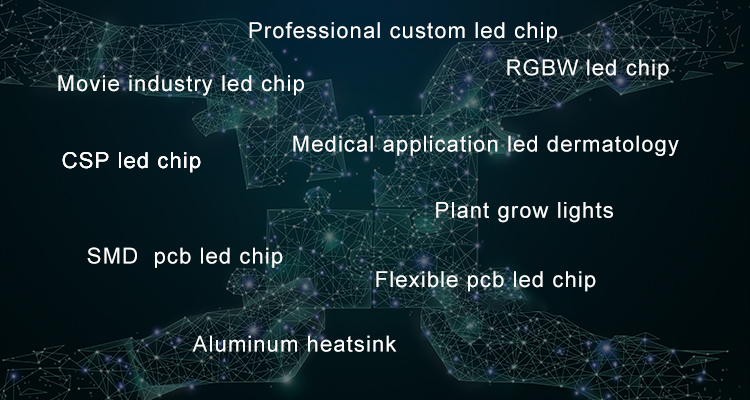Our Services