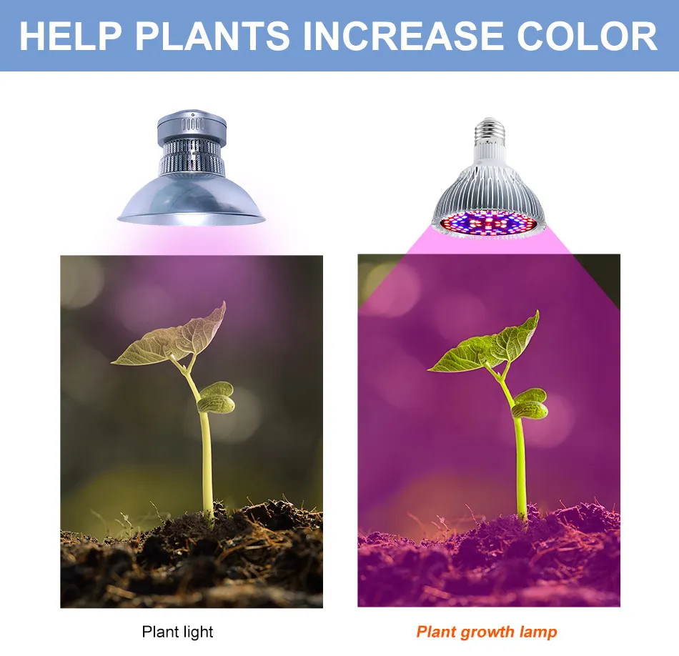 LED Plant Grow Light 6