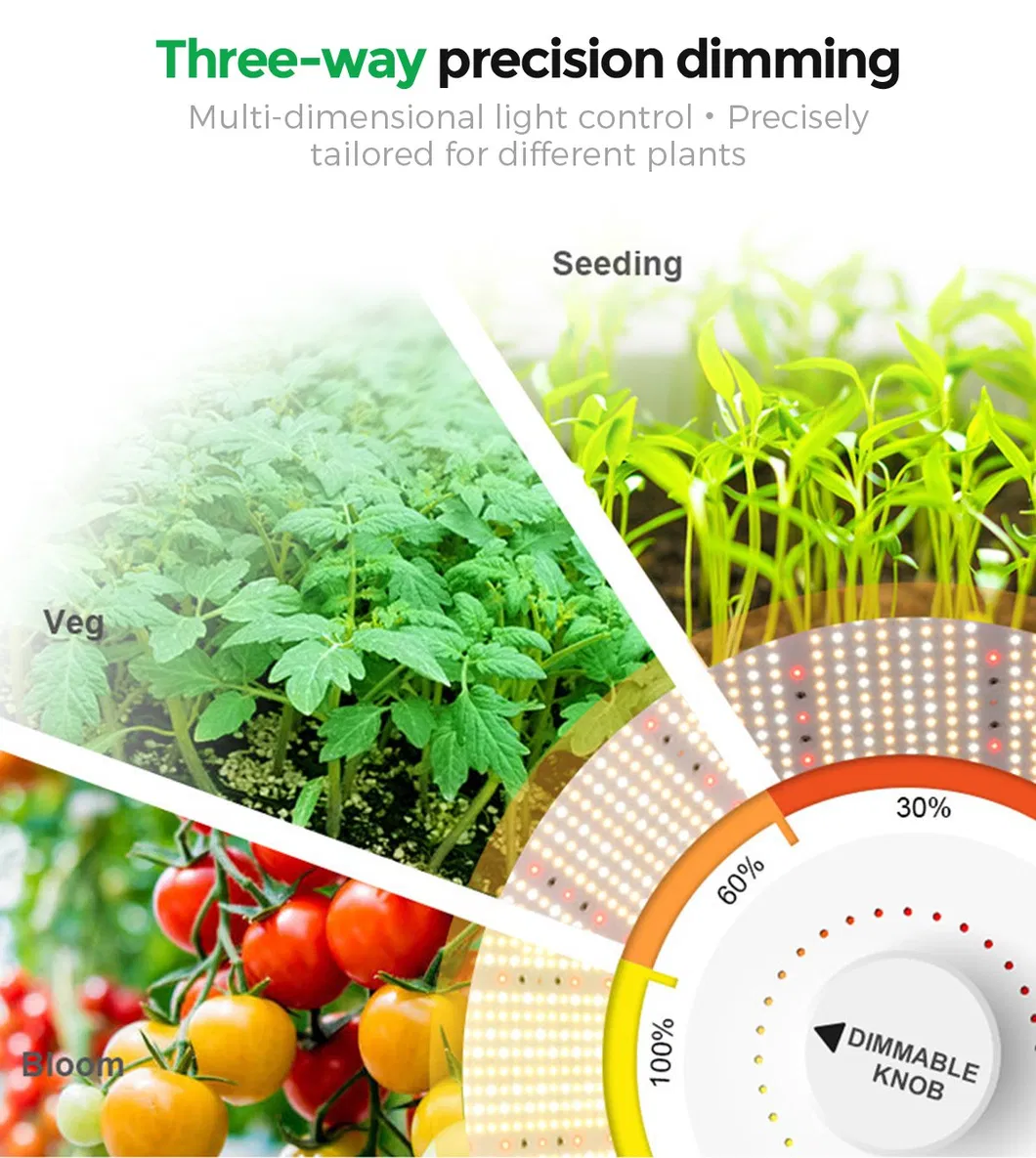 CY-Series Grow Light Detail 2