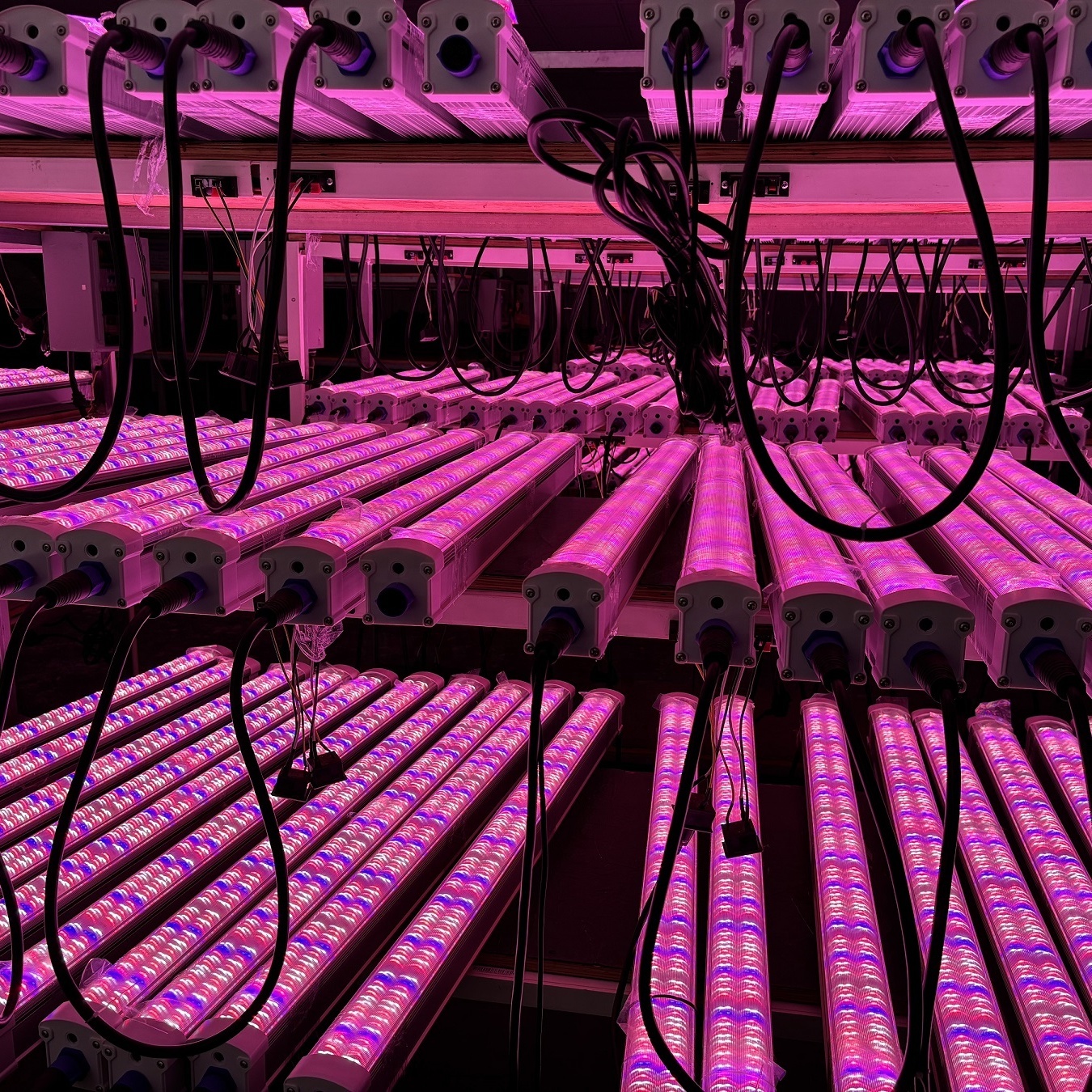 2025 Newest 120W IP66 LED Grow Light Under Canopy With Far Red High PPE 30% Boost Harvest LED Lm301h Chip For 4FT Plant Growing
