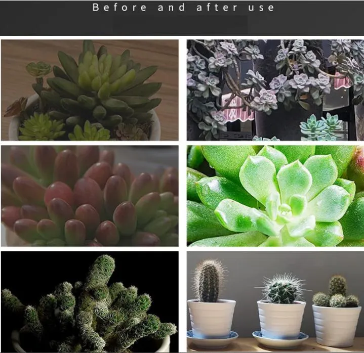 Indoor Plant Growth Light