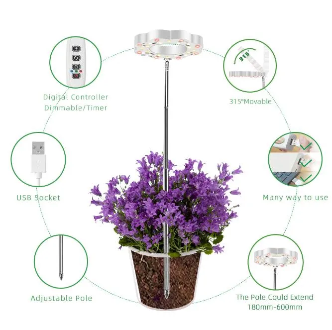 Telescopic Pole Adjustment