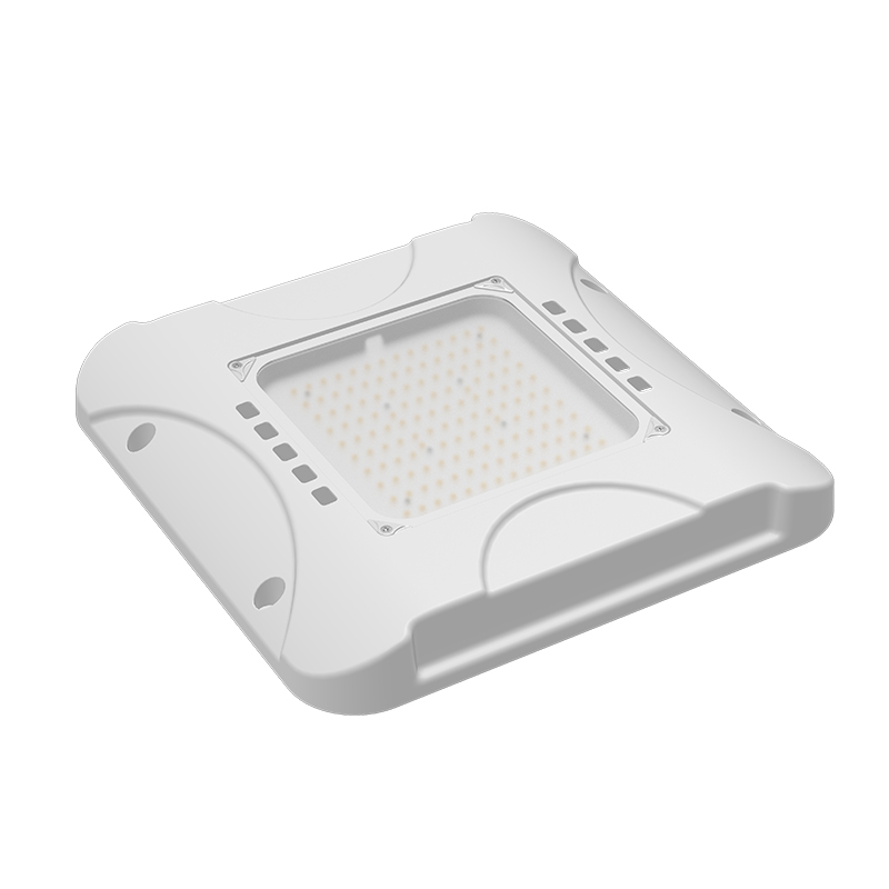LED Canopy Light 4
