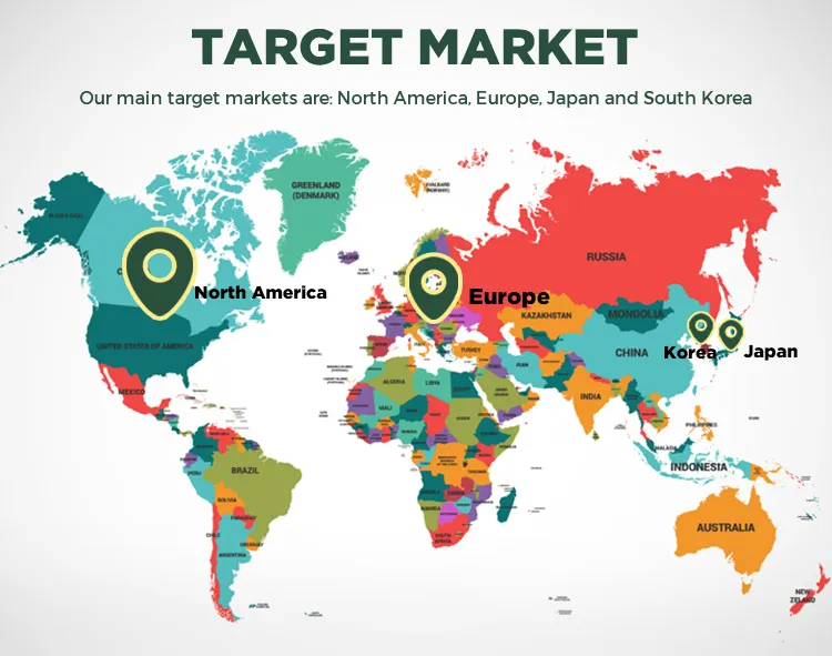 Target Market Analysis