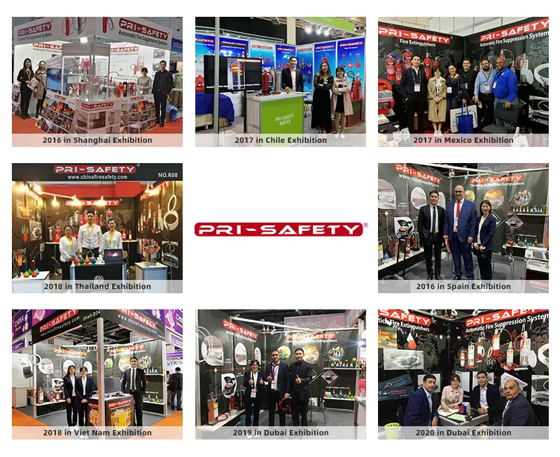 International Exhibition Display