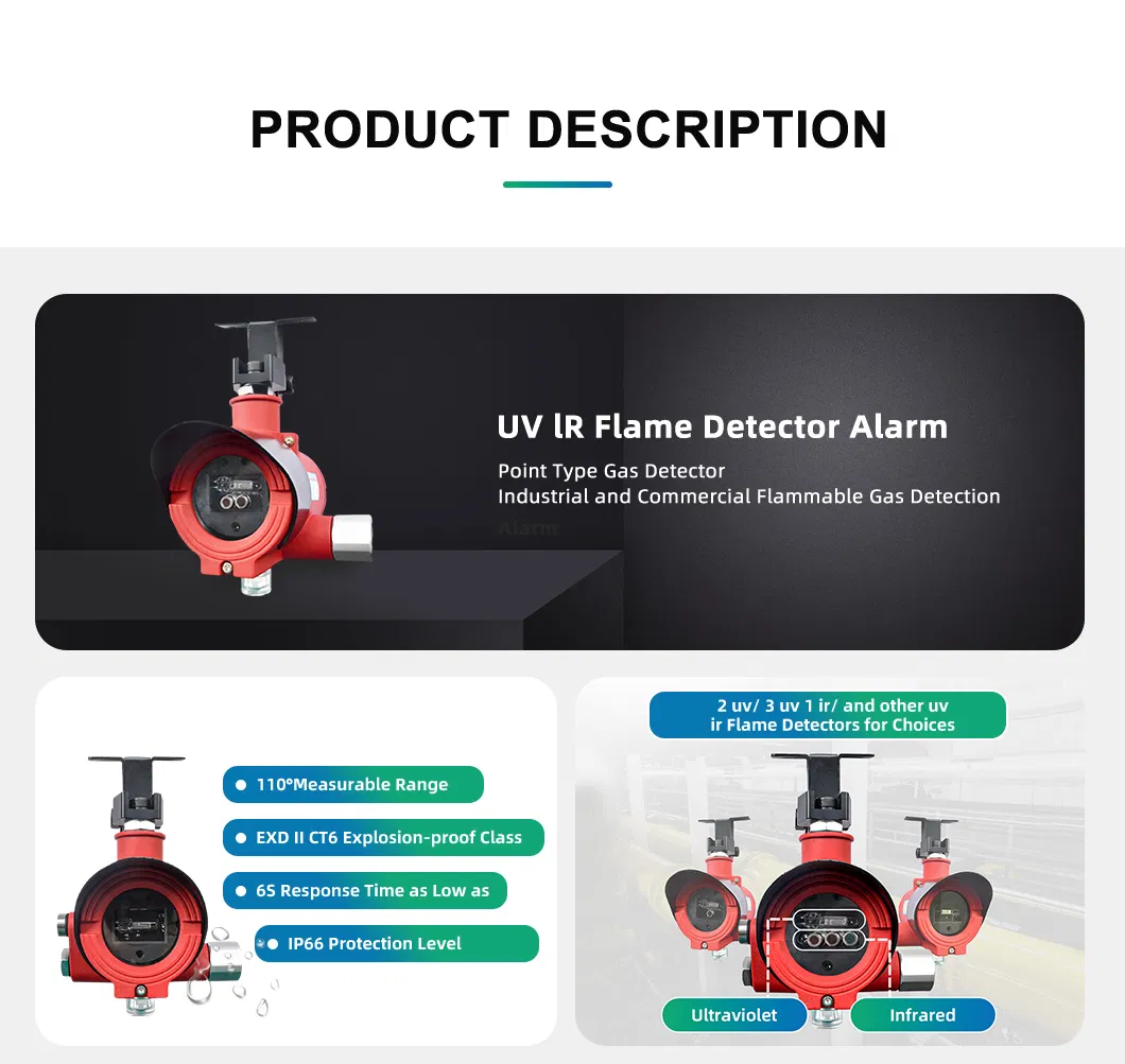 S600 Flame Monitoring Technical View