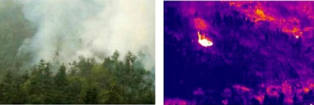 Infrared Gas Leakage Detection Thermal Imaging Tool