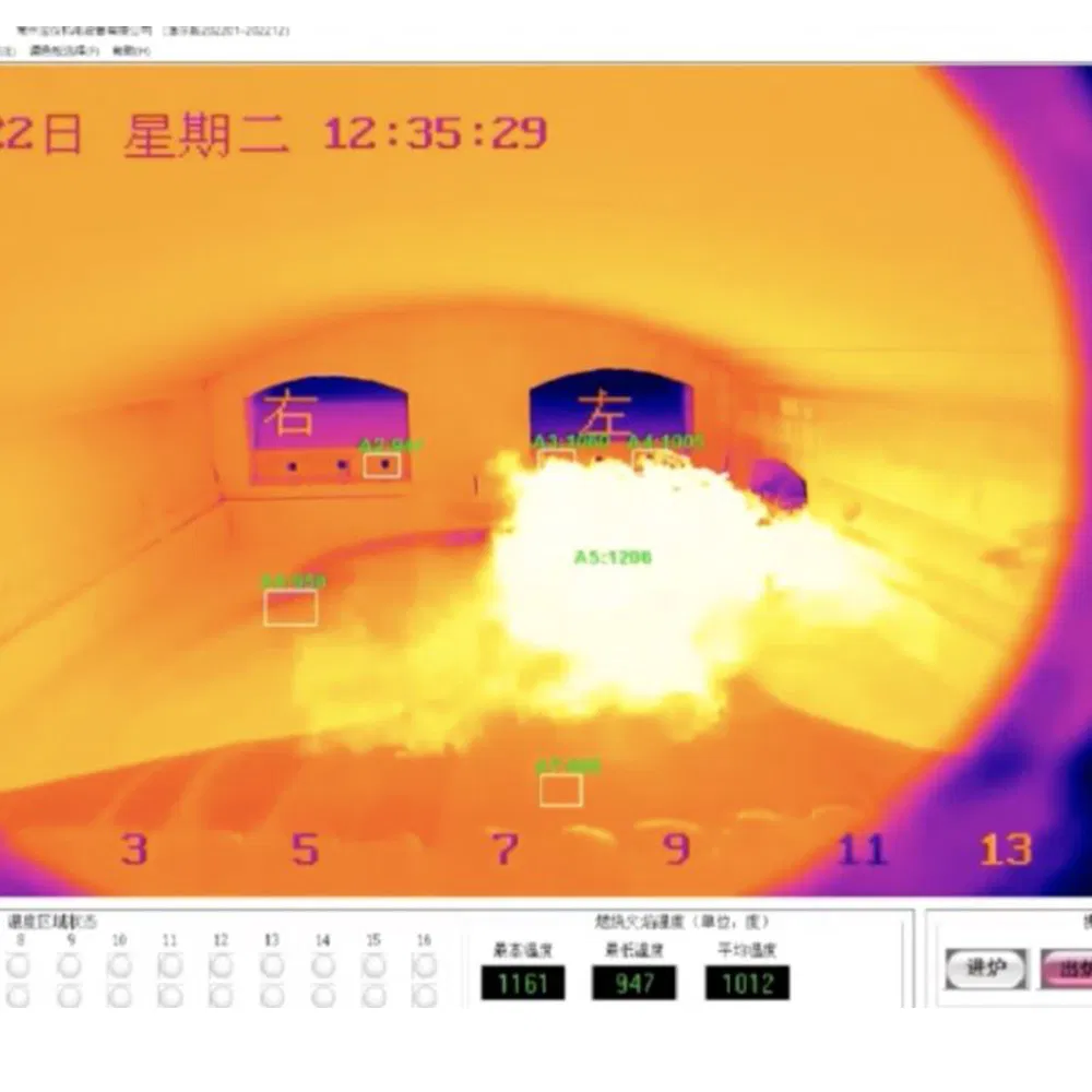 Real-Time Data Transmission Digital Scan Remote Monitoring Strong Real-Time Performance High Thermal Temperature Measurement Thermal Chamber Imager