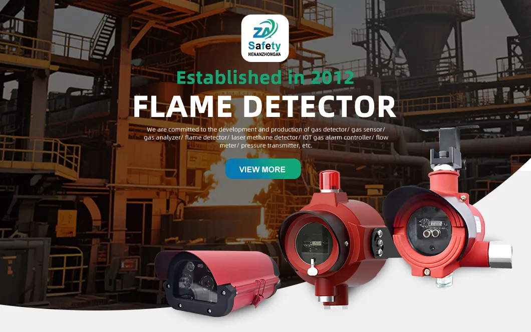 S600 Flame Monitoring System Overview