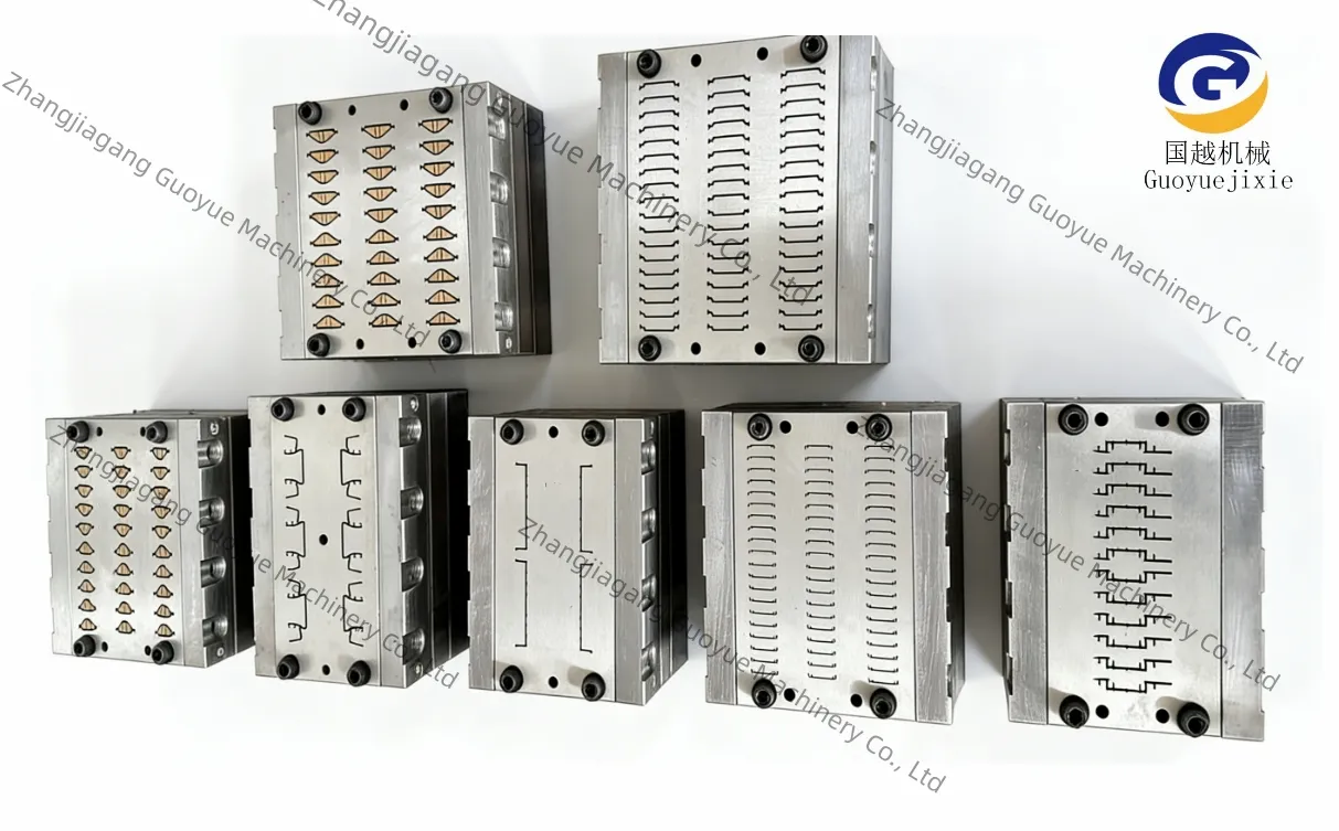 Mold Introduction Image