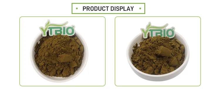 Suplementos Nutricionais de Alta Qualidade Extrato de Grão de Café Verde 50% Ácido Clorogênico