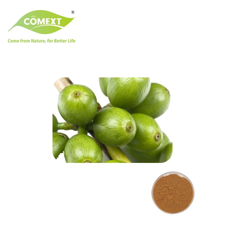 Certificado Kosher Halal Comext Suplementos Nutricionais Perda de Peso Pó Puro Ácido Clorogênico Extrato de Grão de Café Verde