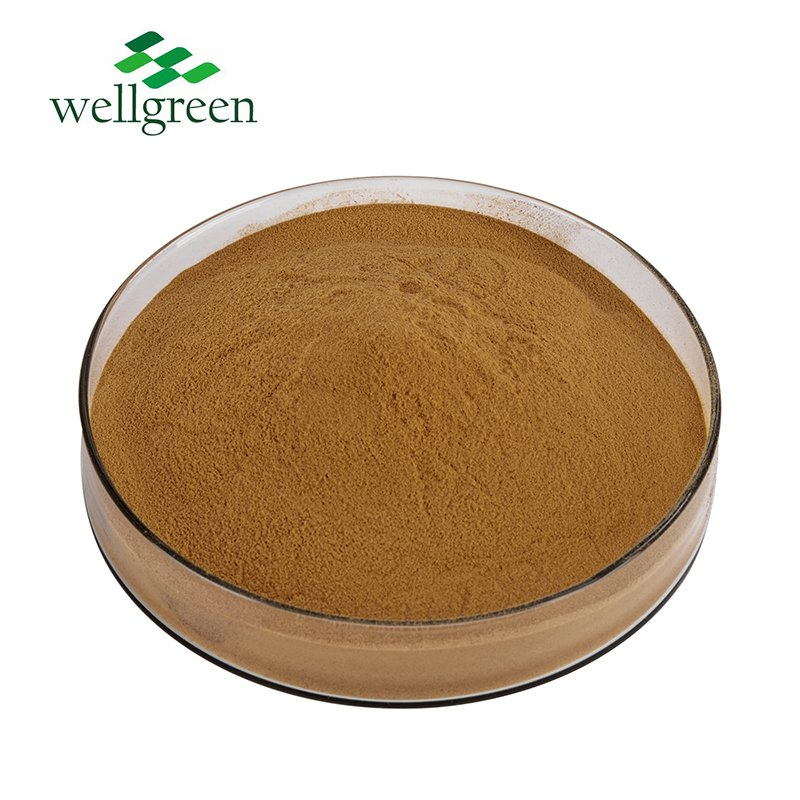 Pó de Extrato Herbal Natural 10: 1 20: 1 Extrato de Alcachofra