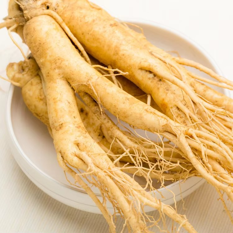 Fornecimento de Fábrica Extrato Natural de Caule e Folha de Panax Ginseng 15% Ginsenosídeos