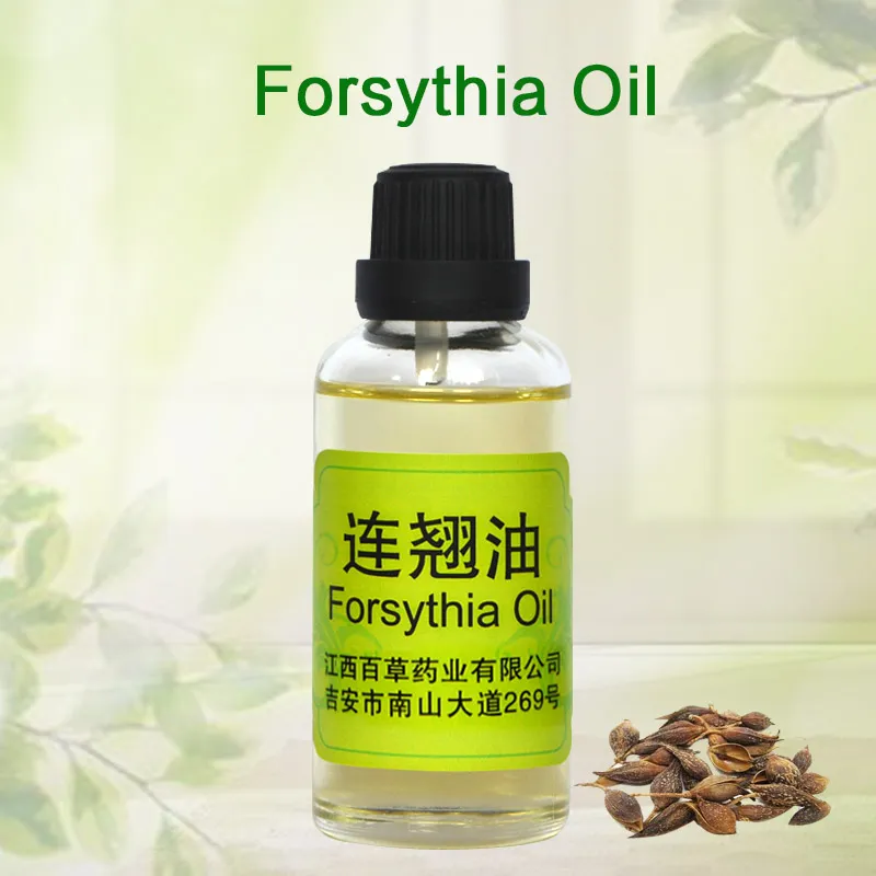 Óleo de Forsythia, Extrato Vegetal
