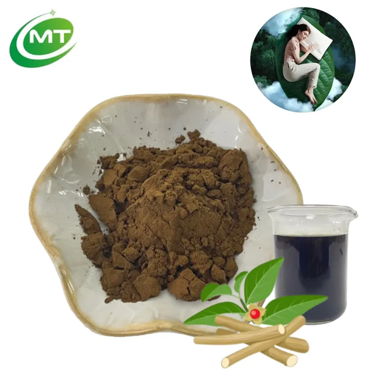 Extrato Herbal Natural de Alta Qualidade para Suporte ao Estresse - Extrato de Ashwagandha