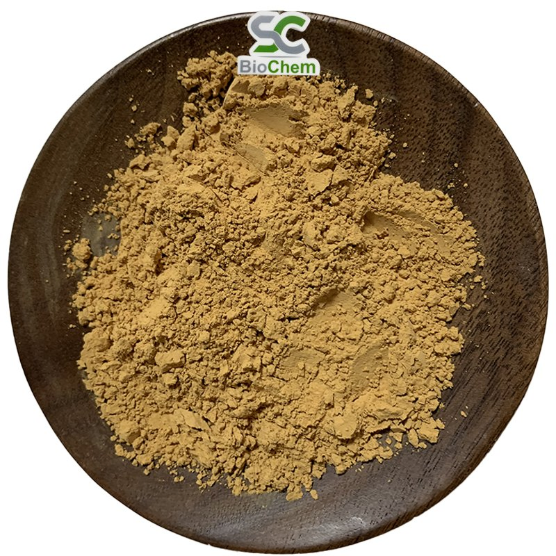 Ingrediente Herbal Orgânico Natural em Pó Concentrado Extrato de Cardo Mariano e Alcachofra para Perda de Peso