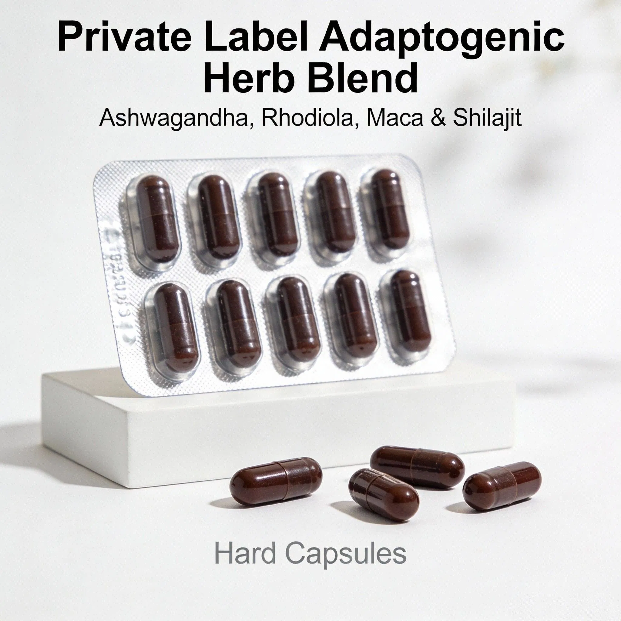Cápsulas de Mistura de Ervas Adaptogênicas de Marca Própria com Ashwagandha, Rhodiola, Maca e Shilajit