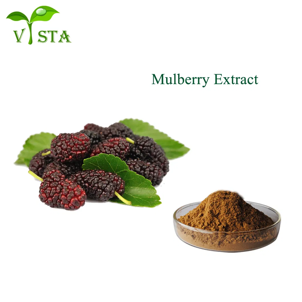 Extrato de Fruta de Amora Certificado ISO Puro Natural Extrato de Planta Forte Antioxidante Antocianidinas 25%