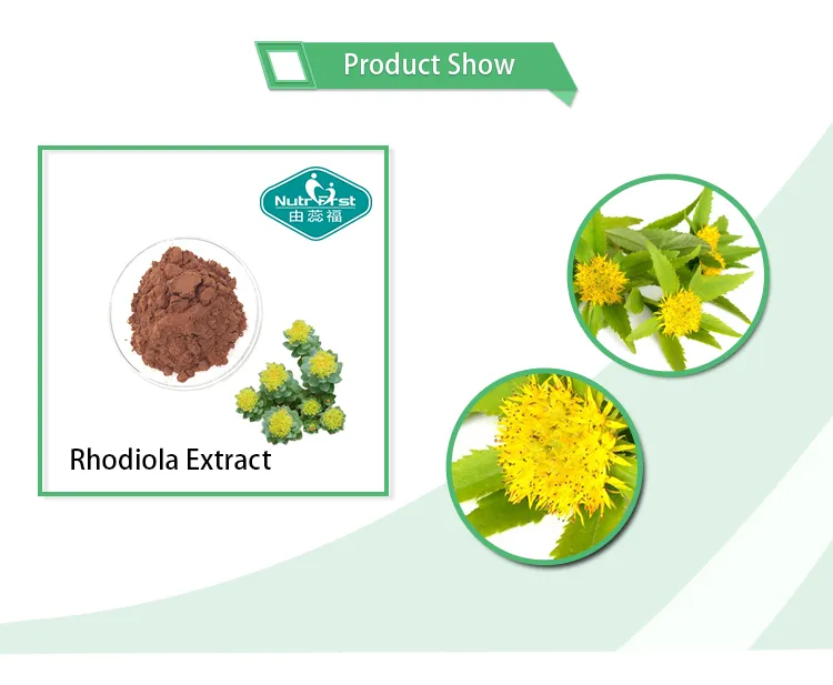 Pó de Rhodiola Rosea a granel Solúvel em Água Extrato de Raiz de Rhodiola Rosea Rosavin 3% Salidroise 1%