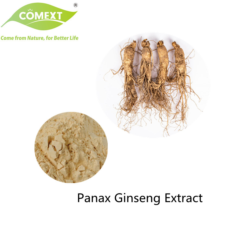 Extrato Natural de Planta com Baixo Resíduo de Pesticidas Comext Extrato de Panax Ginseng de 80% UV com Amostra Grátis Erva Herbal para Ginsenosídeo