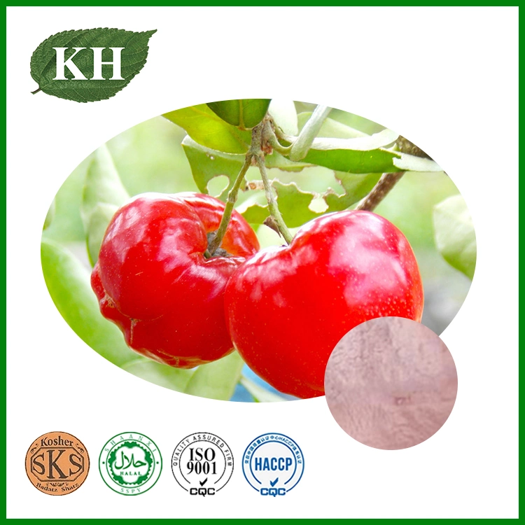 Extrato Natural de Acerola Cherry de Alta Qualidade 17% 25% Vitamina C