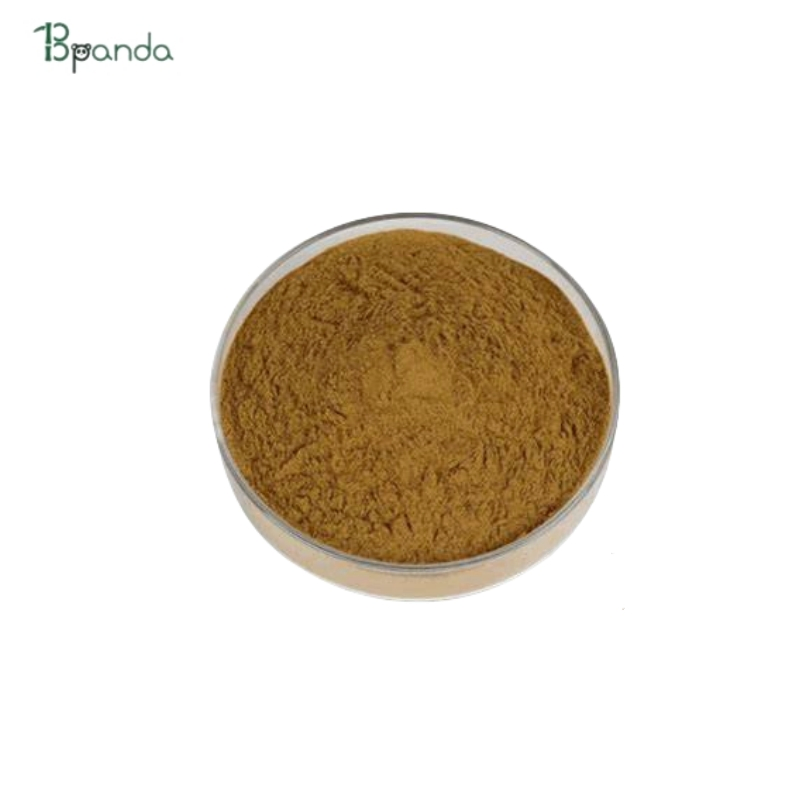 Extrato de Astrágalo com Astragalosídeo 100% Extrato Natural de Astrágalo