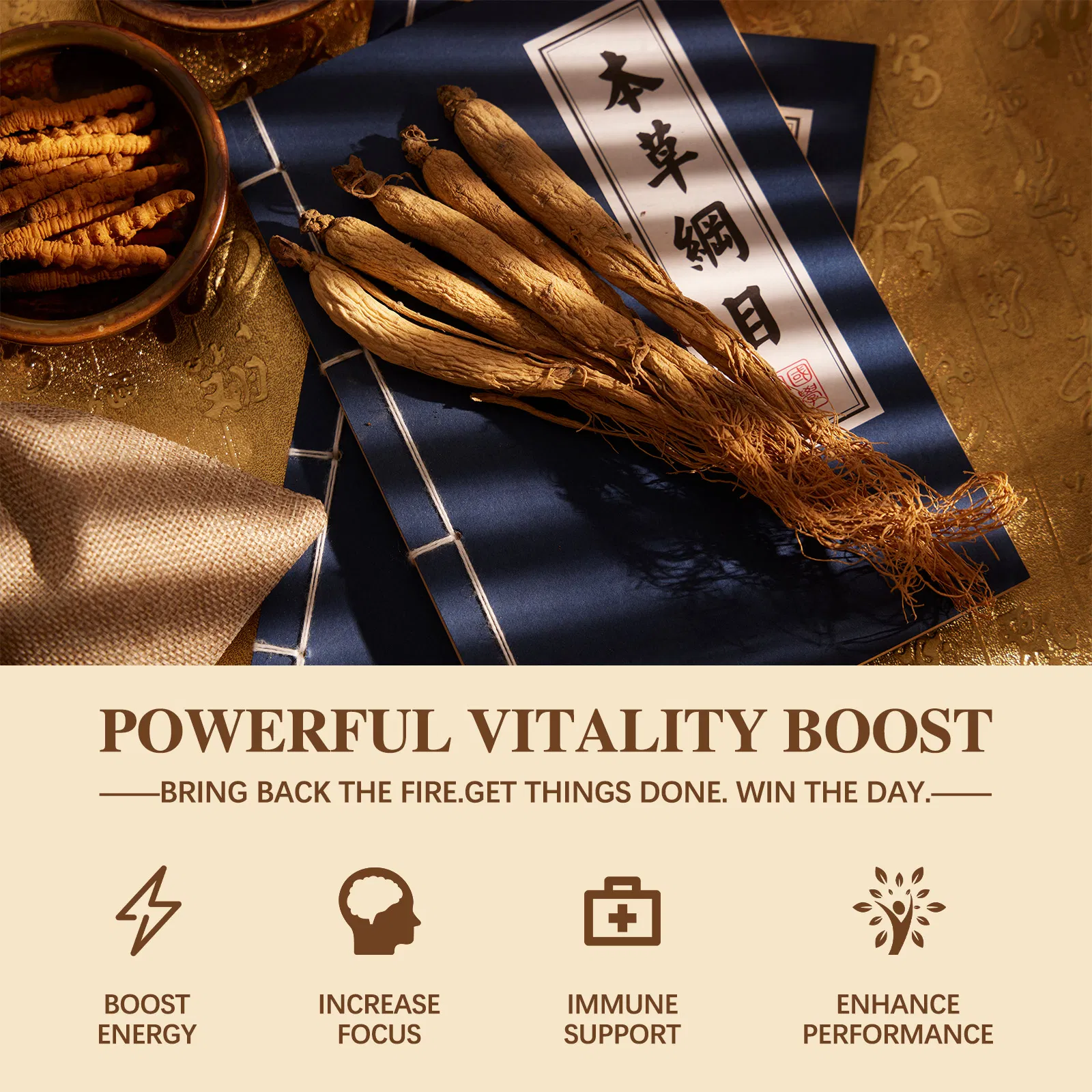 Panax Ginseng Root Extract Product Details