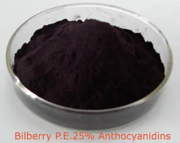 Extrato de Planta Natural Extrato de Mirtilo 10%~25% Antocianidinas (UV-VIS) Antioxidante