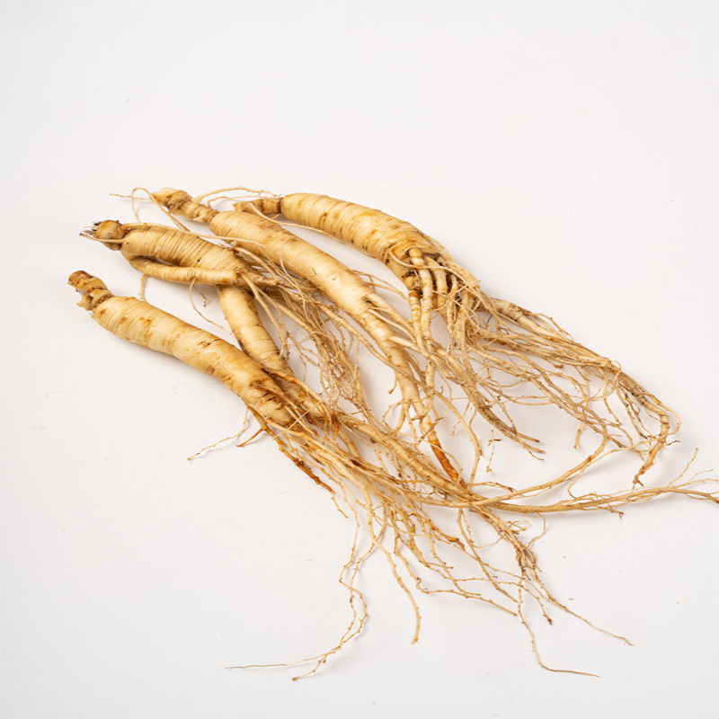 Melhor Preço Extrato de Raiz de Ginseng Panax Orgânico Premium - Amostra Grátis Baixa Quantidade Mínima de Pedido