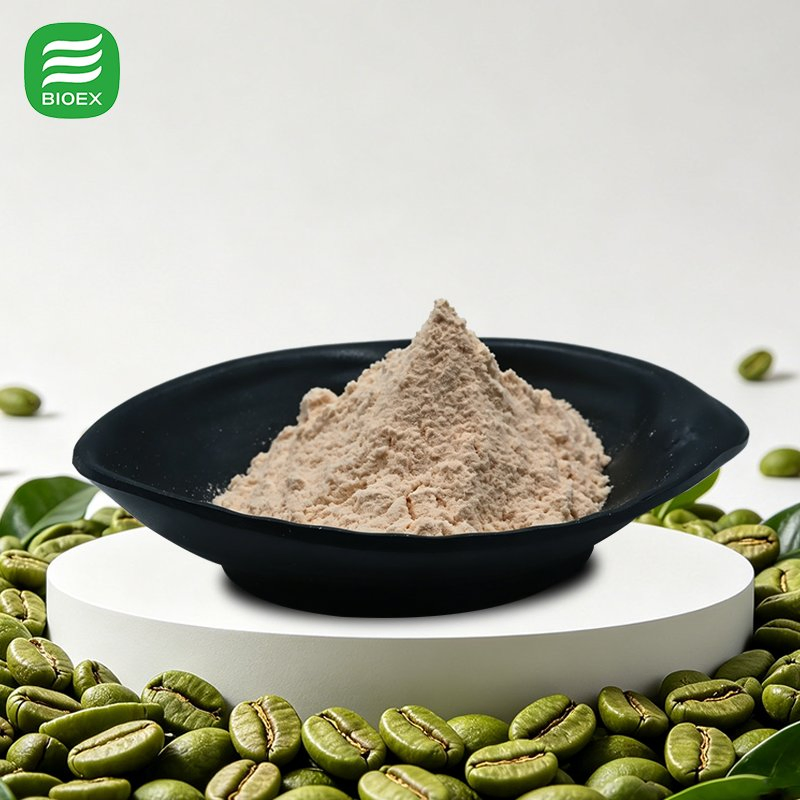 Extrato de Grão de Café Verde Natural e Puro de Clorogênico Direto da Fábrica