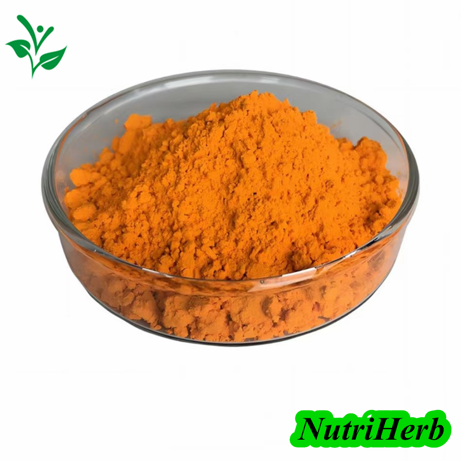 Suplemento de Saúde Antioxidante de Alta Qualidade Pó de Extrato de Raiz de Cúrcuma 20% 95% 98% Curcumina CAS 458-37-7 Extrato de Pó de Planta Herbal