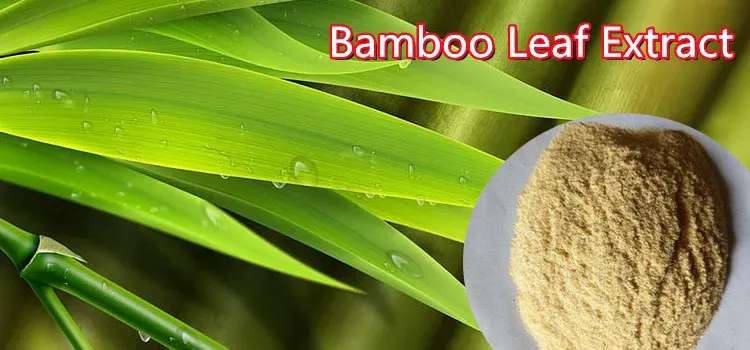 100% Natural. Flavonóides totais 24% extracto de folhas de bambu AOB Flavone