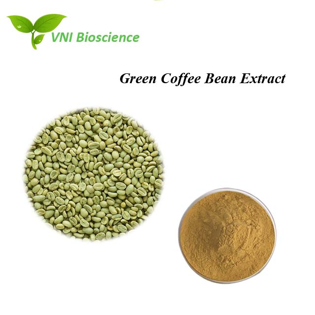 Certificado Kosher e Halal 100% Ácido Clorogênico Natural 70% 30% Extrato de Grão de Café Verde