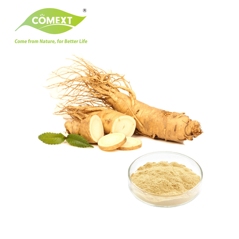 Comext Fabricante Amostra Grátis Medicina Tradicional Chinesa Orgânica HPLC 10% 80% Ginsenosídeos Polissacarídeos Pó Planta Vermelha Coreana Extrato de Panax Ginseng