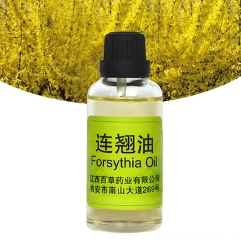 Óleo de Forsythia, Antioxidante Vegetal, Extrato Vegetal