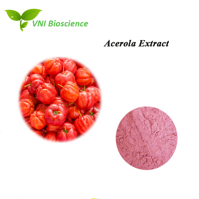 Certificado ISO Kosher 100% Pó Natural Vc 17% Extrato de Cereja Acerola